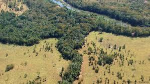 CORREDORES DE BIODIVERSIDADE # Nos Hotspots, o desmatamento provocou uma intensa fragmentação dos hábitats.