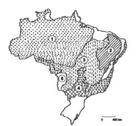 Questão 17 Observe o mapa que apresenta como era a vegetação original do Brasil.