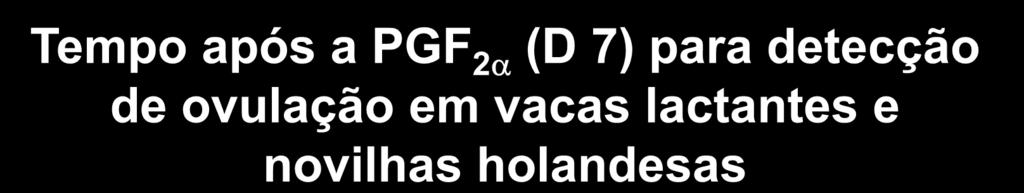 Porcentagem de fêmeas Tempo após a PGF 2 (D 7) para detecção de ovulação em vacas lactantes e novilhas