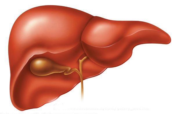 Metabolismo de esteróides 53.0 Mcal/d vs. 12.5 Mcal/d Tam. do CL 1600 L/h vs.