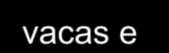 Fecundação em vacas e novilhas holandesas Sartori et al.