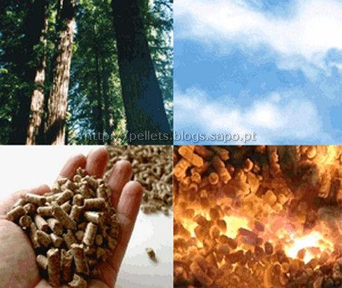 54 Ilustração 16: Biomassas Fonte: Energia Renováveis.