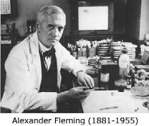 quimioterapia 1928 Alexander Fleming substância com ação inibitória contra Staphylococcus aureus,