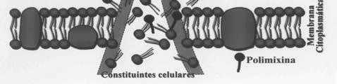 Principais Antimicrobianos: Rifamicina Rifamicina (Inibe a síntese de RNA)