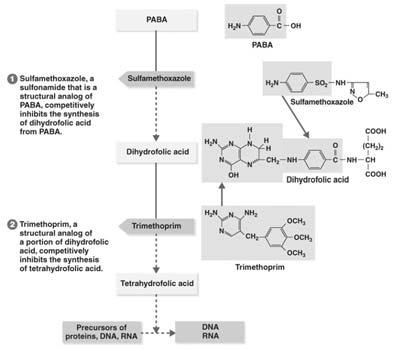 Ácido paraminobenzóico Ácido didrofólico Resistência aos Antimicrobianos Ácido tetraidrofólico (ácido fólico) Tortora et al., 2012.