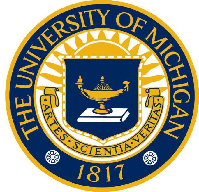 Estudos da Universidade de Michigan Orientação para
