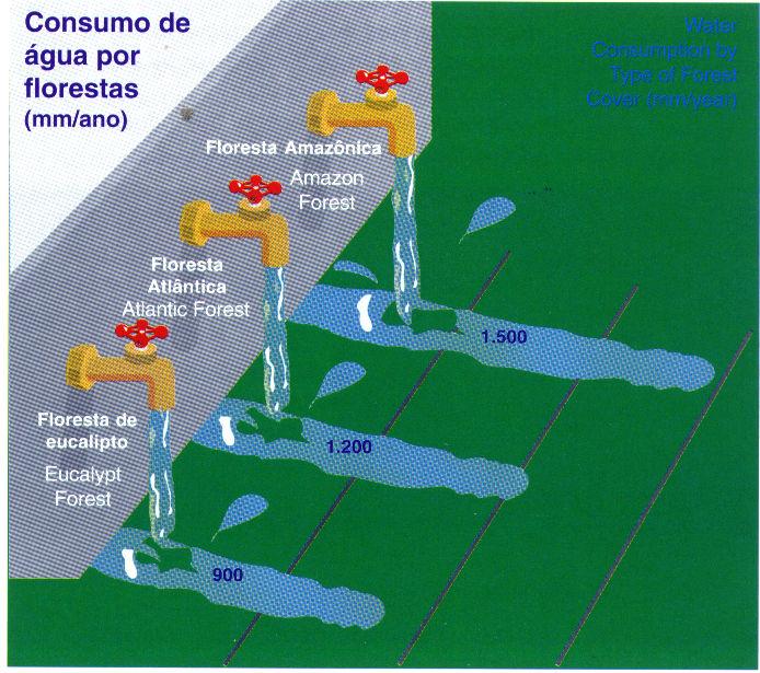 Feijão Trigo Cerrado Eucalipto Boi 2500 L/Kg 1000 L/Kg 500 L/Kg