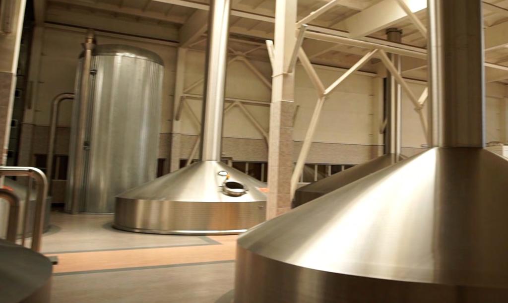 BRASSAGEM RendiMax Beer Solução enzimática para melhorar o rendimento na sala de brassagem e reduzir custos de produção Maior rendimento na sala de brassagem quando comparado com as enzimas
