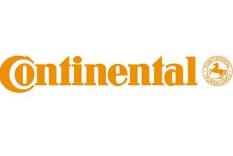 Continental AG Situation Heterogeneous environment with high maintenance costs and extreme difficult handling and administration