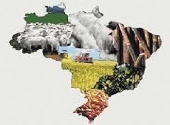 Grãos milhões de hectares 53,00 61,00 Cana-de-açúcar milhões de hectares 8,50 10,50 Silvicultura milhões de