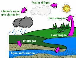 III - Quando a água das chuvas atinge a terra, escoa pela superfície, alimentando diretamente os rios, e infiltra-se no solo, alimentando os lençóis subterrâneos.