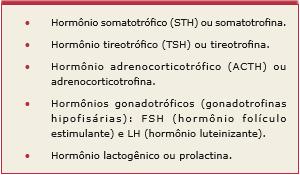 Adenoipófise Produz, armazena e libera diversos hormônios.