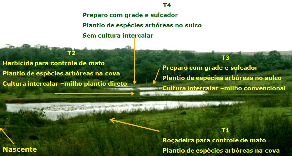 Tratamentos: diferentes