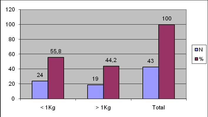 55 a 1 kg ou igual ou superior a 1 kg, verificou-se que, respectivamente, 24 (55,8 %) e 19 (44,2 %) apresentaram pesos abaixo de 1 kg e pesos iguais ou superiores a 1 kg (Gráfico 1).