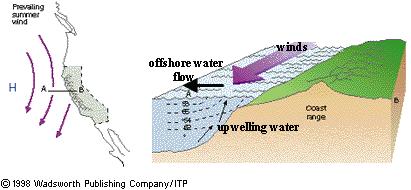 Ressurgência Trás água fria das regiões mais fundas para a superfície Ventos paralelos à costa podem criar um fluxo de água em direção contrária à costa Água fria,