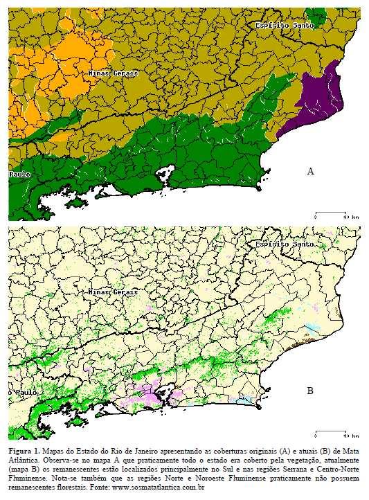 Mapeamento dos remanescentes de vegetação nativa de