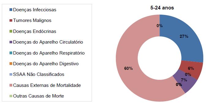 para grandes grupos de causas