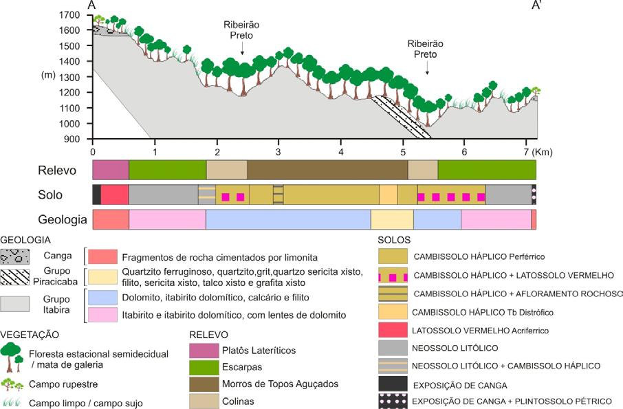Figura 11 Perfil transversal da bacia do Ribeirão Preto Tabela 1 Relação dos elementos que predominam na paisagem da bacia do Ribeirão Preto elementos da paisagem geologia hipsometria declividade