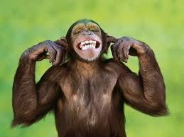 Macaco Provérbios: "Quem quebra-galho é macaco gordo". "Macaco não olha para o próprio rabo".