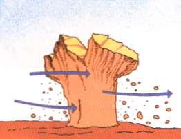 Rochas Sedimentares SEDIMENTOGÉNESE 1