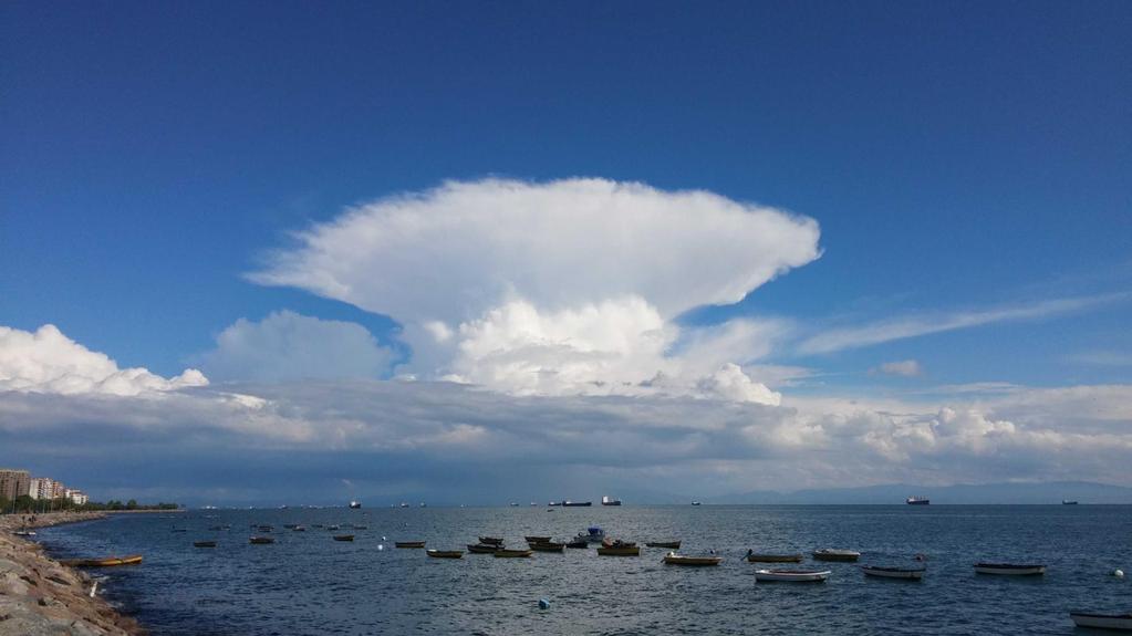 Cumulonimbus são de grande interesse, visto que produzem tempestades e raios Se