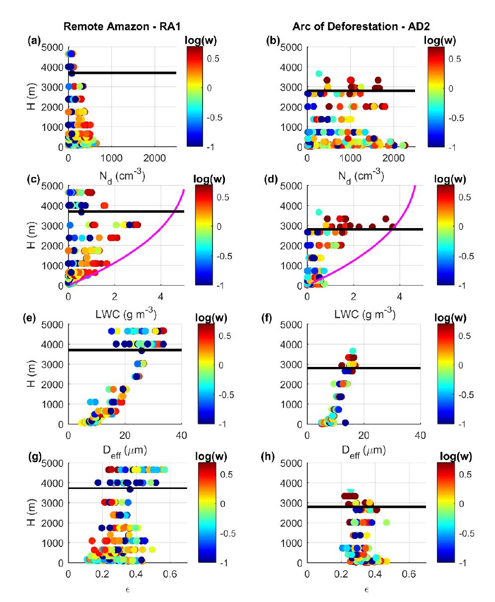 Fonte: Cecchini et al. (2017b) 1) Por quê LWC aumenta com a altura?