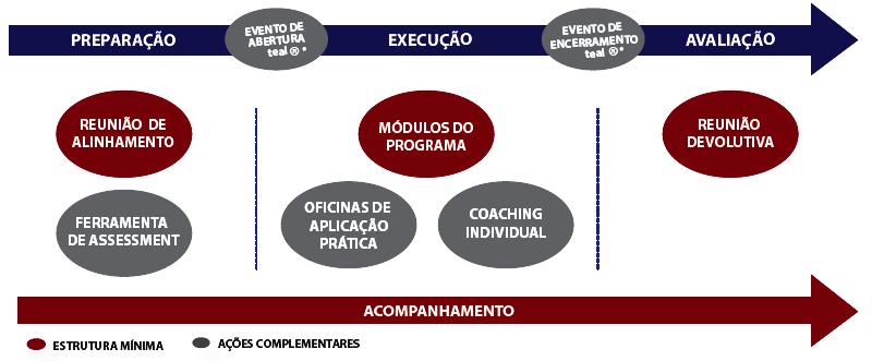 PROGRAMA DE DESENVOLVIMENTO DE LÍDERES Programa com abordagem prática, customizado para a realidade da empresa, focado no tratamento dos gaps e fortalecimento de competências que impactam o