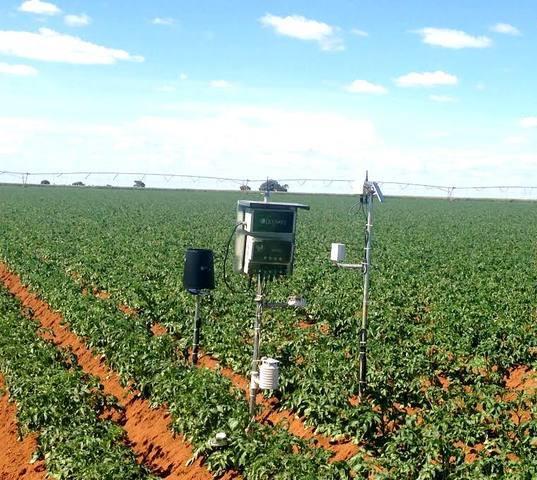 IoT na agricultura Smart farming e agricultura de precisão coleta automatizada das muitas