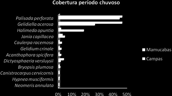 85 Como apresentado na figura 29, observa-se que Palisada perforata foi a que apresentou a maior porcentagem de cobertura (aproimadamente 58%) nos recifes estudados.
