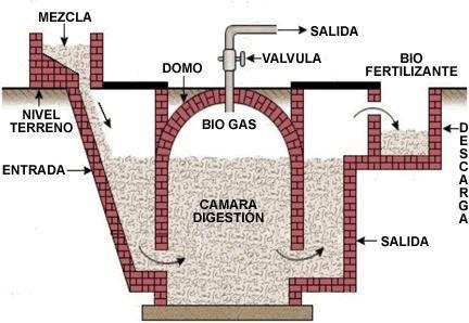 Processo de digestão anaeróbia carbono, nutrientes e sais orgânicos. Teor de água 90% do conteúdo total. SEIXAS, J. (1980).