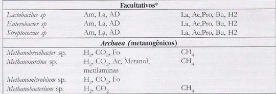 BACTÉRIAS Continuação Gram-positivas Metano Anaeróbios facultativos Associam-se principalmente à parede do rúmen.