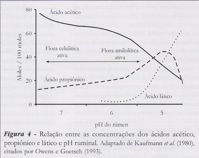 ADITIVOS