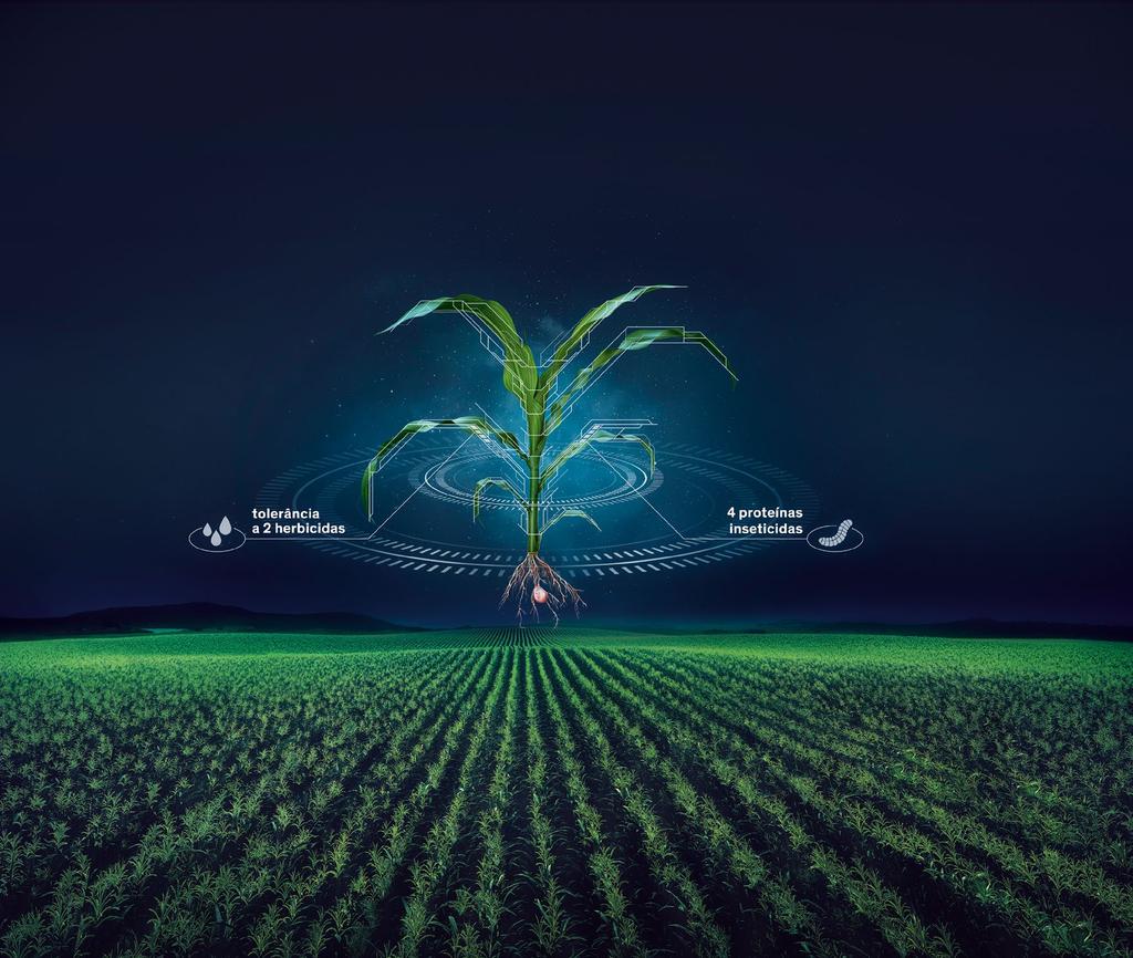 TECNOLOGIA QUE TRANSFORMA O MILHO EM RENTABILIDADE Programa de Boas Práticas Agrícolas A utilização da tecnologia aqui contida requer a adoção de boas práticas agrícolas para manter a suscetibilidade