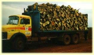 4. Resultados Já teve problemas com o abastecimento de madeira?