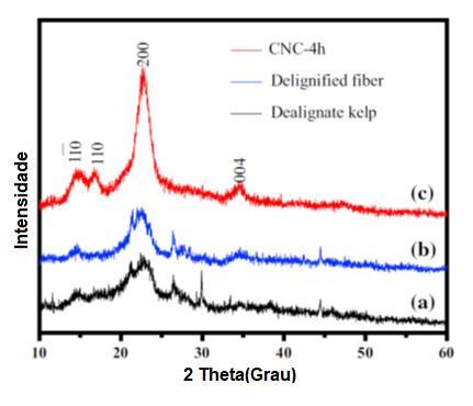 13 característicos da celulose I bem definidos o que mostra a efetividade do processo de hidrólise ácida no isolamento dos nanocristais de celulose.