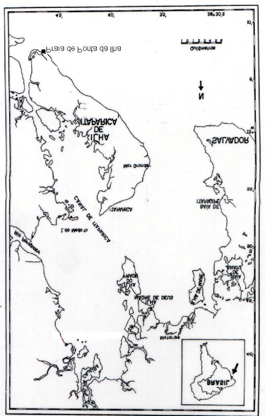 Figura 1: Mapa