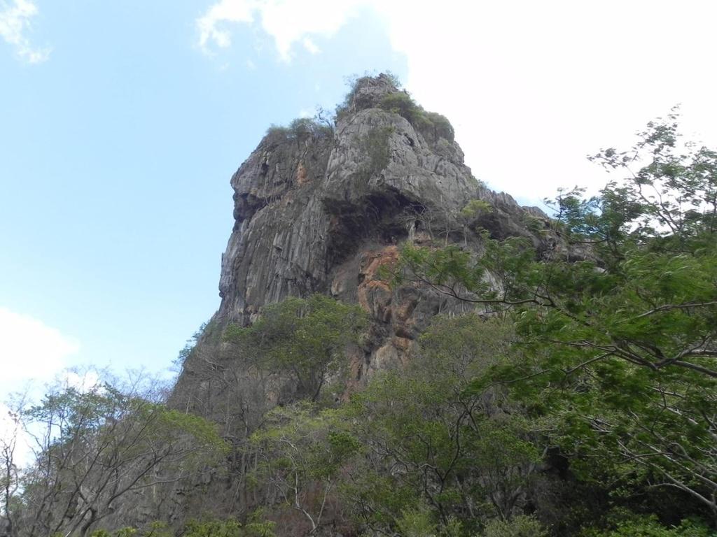 47 Figura 7: Visão de um dos cones cársticos do Parque Nacional de Ubajara, composto pelas rochas calcárias da Fm. Frecheirinha. Relevos com vertentes íngremes que se destacam na paisagem da região.