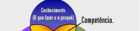 Competências Essenciais As competências essenciais são capacitações que servem como fonte de vantagem competitiva para uma empresa sobre seus rivais.