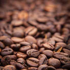 LaCimbali S39 TE ist die vollautomatische Espresso- Kaffeemaschine, die Ihrem Bedürfnis nach großer Menüvielfalt und Qualität in der Tasse gerecht wird.
