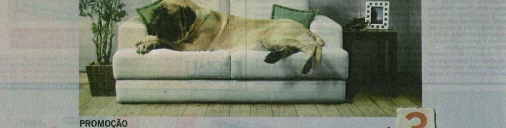 Interessante observar o tamanho do cachorro: ele é desproporcional ao tamanho do sofá, ou seja, ele é tão grande que ocupa todo o espaço.