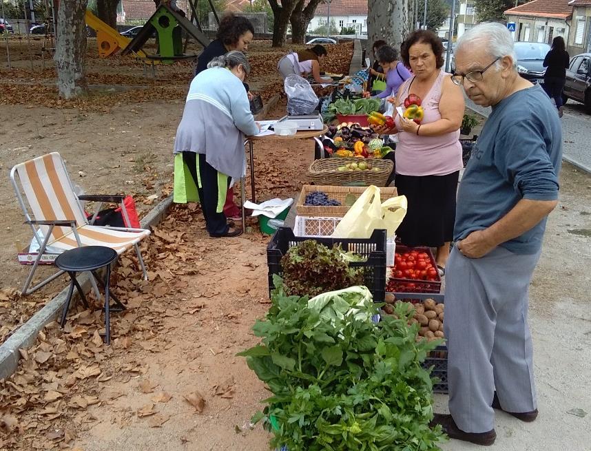 circuitos de produção, divulgação e comercialização de