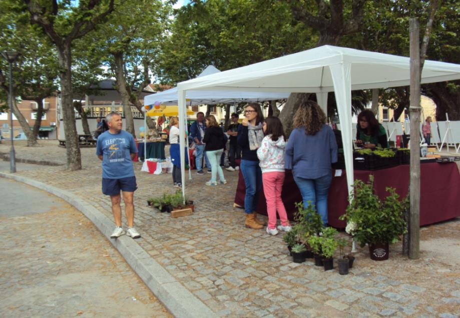 comercialização de produtos locais e/ ou regionais Iniciativa em colaboração com a