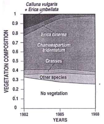 Efeitos em árvores: mortalidade e crescimento Efeitos na biodiversidade Conclusão: técnica neutra, impactes ecológicos
