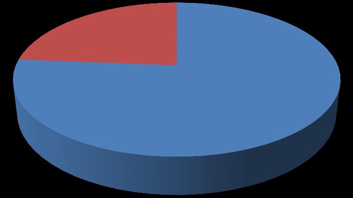 RESULTADOS FINANCEIROS Composição da Dívida Bruta 1S13 R$ milhares % Moeda Estrangeira 24% 19,5% Dívida Bruta Total R$ 2.182.684 Dívida Bruta em moeda nacional R$ 1.664.