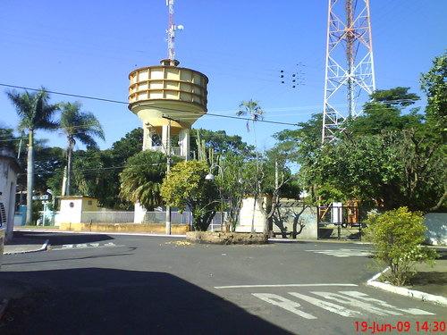 Um membro do Lions clube de Brasília Metropolitano desde 1984, ocupou muitos cargos dentro da Associação, incluindo o de Presidente do clube, Governador de Distrito, Coordenador LCIF do