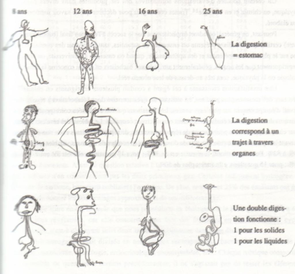 Giordan & Vecchi (1996): Persistência donomesmo BIZ0306 Contexto e