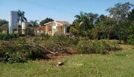 Manejo externo Ações externas Raio de 05 Km