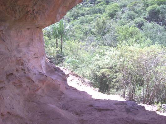 José Ozildo dos Santos, et al O Sítio Arqueológico Serra das Letras III, encontra-se situado num ponto de coordenadas 07º 59 43 S e 37º 48 48 W, a uma elevação de 597 m.