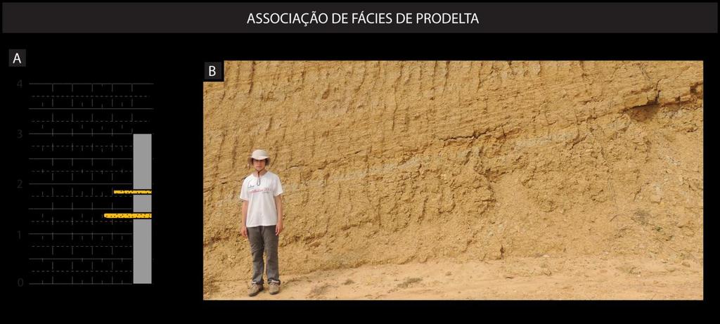 43 mais distais (prodelta). Fluidizações podem ocorrer em deltas dominados por rio devido às altas taxas de sedimentação (Battacharya, 2006).