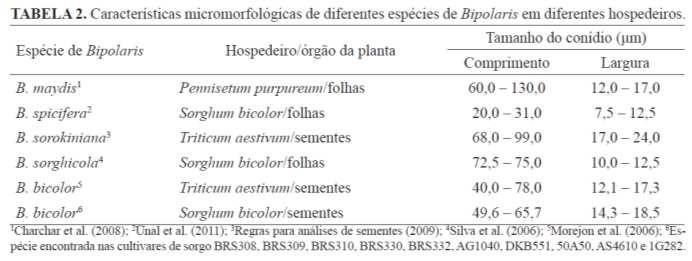 Erradicação: tratamento de sementes, rotação de